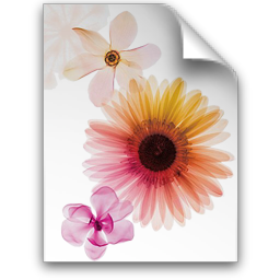 Adobe Illustrator CS2